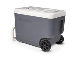 Refrigerador Igloo 33L Rolling Versatemp aquecido e resfriado Refrigerador Igloo 33L Rolling Versatemp aquecido e resfriado