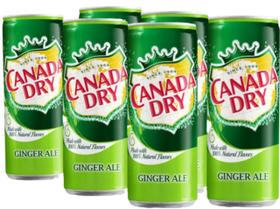 Refrigerante Canada Dry Ginger Ale Gengibre - 6 Latas Refrigerante Canada Dry Ginger Ale Gengibre - 6 Latas