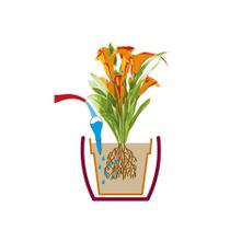 Regador Para Vaso I-Drop Framboesa 70Ml 0640