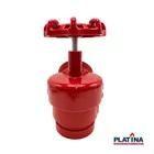 Registro De Hidrante Ranhurado Grooved 2.12 Pn16 Platina