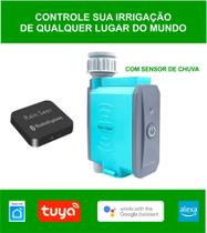 Registro Temporizador de irrigação Wifi Inteligente