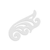 Régua Curva Francesa Molde Alfaiate Confecção 25x11cm