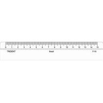 Regua De Acrílico Trident Desetec 15cm Para Desenho