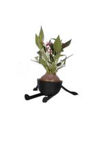 Relaxado Big - Koke Relaxado Big - Koke