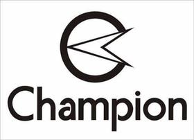 Relógio Champion Feminino Original Cn26046h