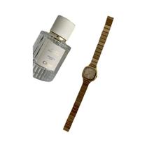 Relógio feminino temperamento simples estilo casual fecho dobrável relógio de quartzo