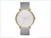 Relógio Skagen Men's Hald Stainless Steel SKW6170/Z