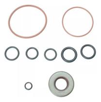 Reparo Bomba Direção Citroen Berlingo Corvete Lumina 97/03