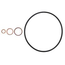 Reparo Bomba Injetora Bosch Trator Massey 3175458