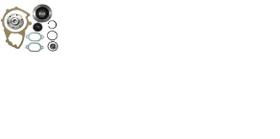 Reparo Bombad'Agua Jogo -Ls1938 / Ls1938S / Ls194 -Autho Mix Reparo Bombad'Agua Jogo -Ls1938 / Ls1938S / Ls194 -Autho Mix