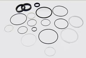 Reparo Caixa Direção Hidráulica Bendix Ford Cargo Original