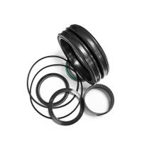 Reparo Cilindro Elevação Carregadeira W20 E96002 Reparo Cilindro Elevação Carregadeira W20 E96002