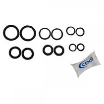 Reparo Para Torneira Censi Kit Aneis Oring Com 12 Pecas - 42100 Reparo Para Torneira Censi Kit Aneis Oring Com 12 Pecas - 42100