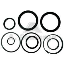REPARO PISTAO GRADE TATU= 50,8 x 101,6 0501031799