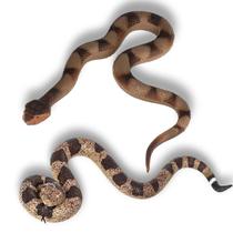 Repelente de jardim para répteis de borracha realista Fake Snakes CJMYHOME