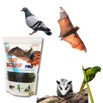 Repelente Para Morcegos Afaste Desaloja Maritacas Forro Telhado Casa