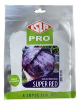 Repolho Super Red Hibrido Roxo - 1.000 Sementes - ISLA SEMENTES