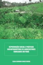 Reprodução Social e Práticas Socioprodutivas De Agricultores Familiares Do Pará