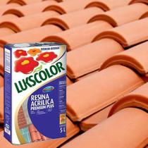 Resina Acrílica Base Solv Incolor Lukscolor 5L