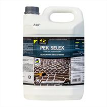Resina Acrílica Pek Selex 5 Litros Pisoclean - Piso Clean