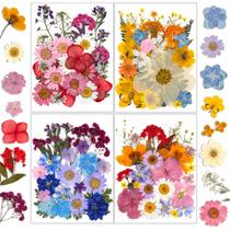 Resinadores de flores secas, kit de artesanato natural prensado de 100 unidades