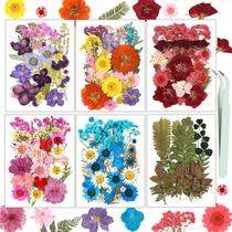 Resiners, kit de flores prensadas secas de 174 peças para artesanato, faça você mesmo