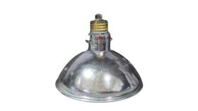 Resistência Criação Animais C/ Refletor 500W 127V