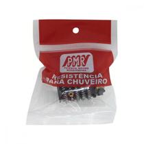 Resistencia Pmr Corona Ss 5200W 220V