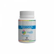 Restitucal suplemento alimentar 21g