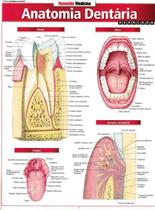 Resumao - anatomia dentaria