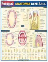 Resumão - anatomia dentaria Resumão - anatomia dentaria