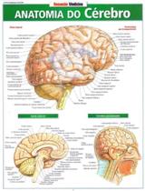 Resumão - Anatomia do Cérebro