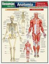 Resumao - anatomia - sistemas do corpo humano - BAFISA Resumao - anatomia - sistemas do corpo humano - BAFISA