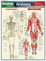 Resumao - anatomia - sistemas do corpo humano