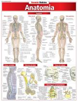 Resumão - anatomia Resumão - anatomia