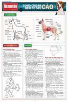 Resumao Especial - Como Cuidar Bem Do Seu Cao