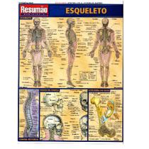 Resumão Esqueleto