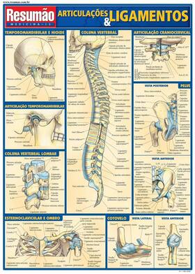 Resumão Medicina - 13 - Articulações e Ligamentos - Barros Fischer & Associados Resumão Medicina - 13 - Articulações e Ligamentos - Barros Fischer & Associados