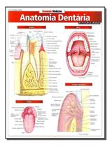 Resumao Medicina - Anatomia Dentária Avançada Sortido