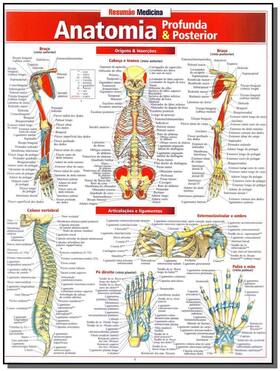 Resumão Medicina - Anatomia Profunda e Posterior - Perez, Vincent - Medicina - ISBN 9788588749566 - Resumao Resumão Medicina - Anatomia Profunda e Posterior - Perez, Vincent - Medicina - ISBN 9788588749566 - Resumao