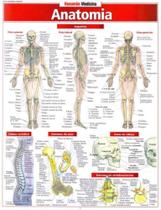 Resumao Medicina - Anatomia