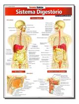 Resumao Medicina - Sistema Digestorio Avancado Sortido