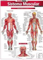 Resumao - medicina - sistema muscular avancado