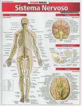 Resumao Medicina - Sistema Nervoso Avancado