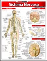 Resumao - sistema nervoso avancado - BARROS, FISCHER E ASSOCIADOS