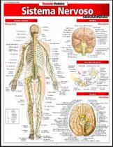 Resumao - sistema nervoso avancado