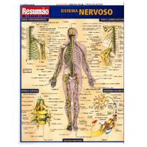 Resumão Sistema Nervoso - BFeA