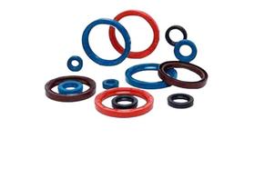 Retentor Comando Clio Kangoo Logan Sandero 1.0 16V Tds Peuge Retentor Comando Clio Kangoo Logan Sandero 1.0 16V Tds Peuge