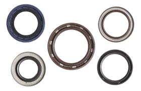 Retentor Da Polia P/ Focus 2.0 16v Duratec Direct 2013a2019 Retentor Da Polia P/ Focus 2.0 16v Duratec Direct 2013a2019