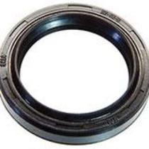 Retentor de bengala xre 300